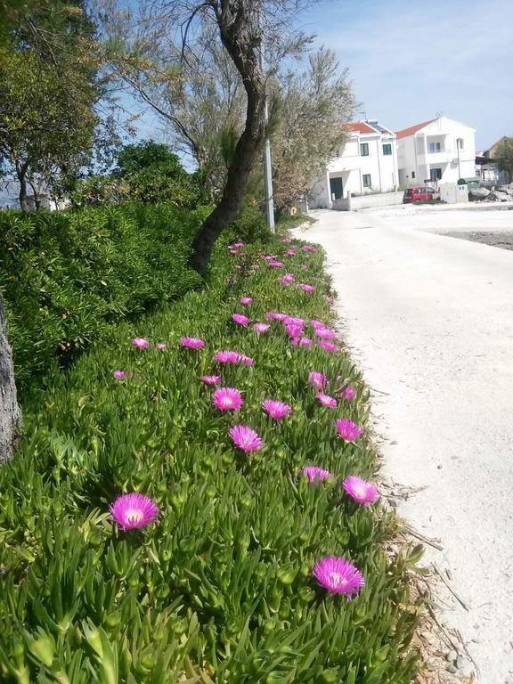 Holiday House Popovic Sućuraj Dış mekan fotoğraf